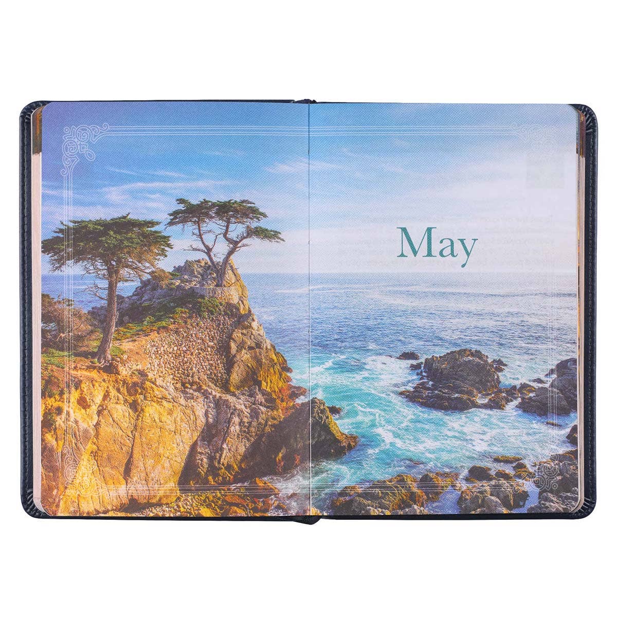 Christian Art Gifts - Devotional Daily Light for Men Faux Leather