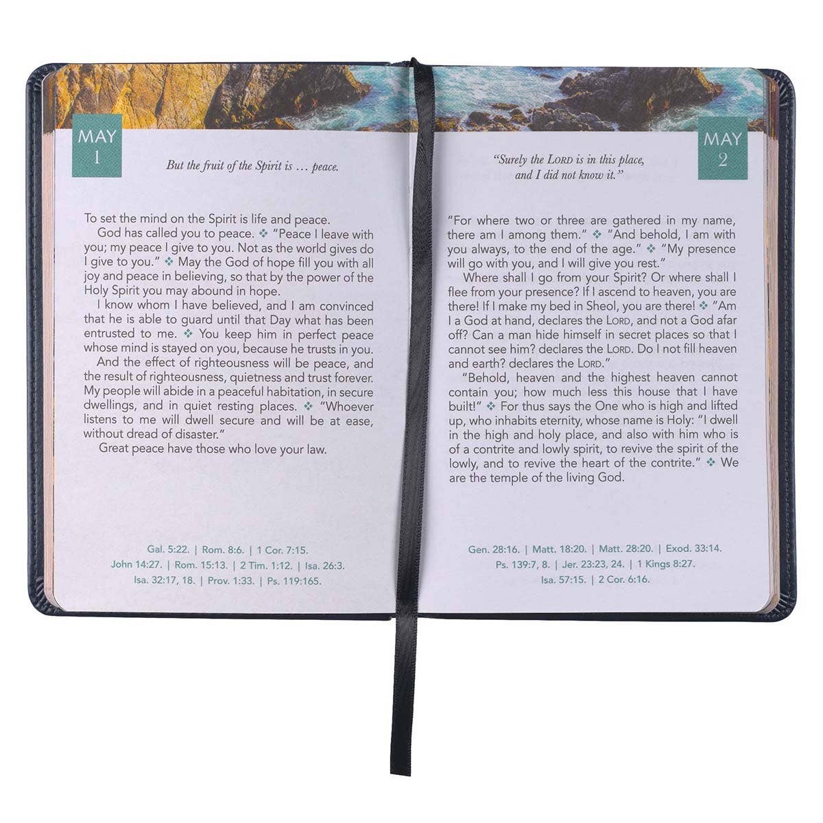 Christian Art Gifts - Devotional Daily Light for Men Faux Leather