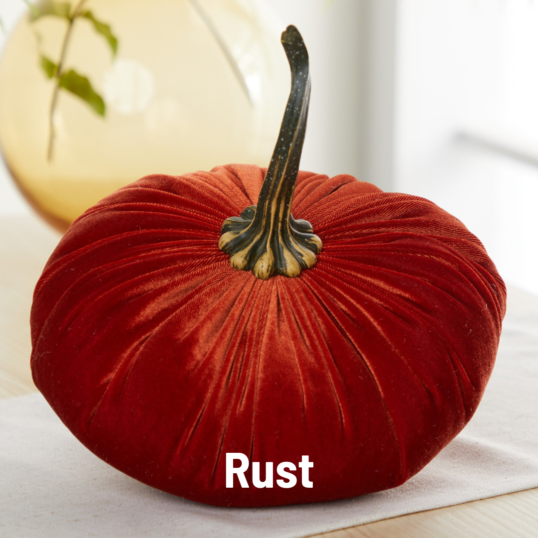 Your Heart's Content - Pumpkin Extra Large Velvet,  Fall Accent Decor, Centerpiece: Luxe Clover
