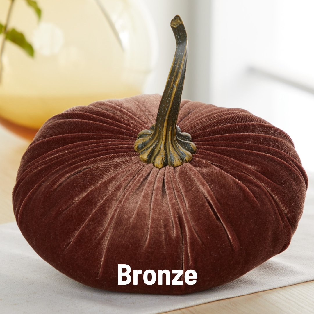 Your Heart's Content - Pumpkin Extra Large Velvet,  Fall Accent Decor, Centerpiece: Luxe Clover