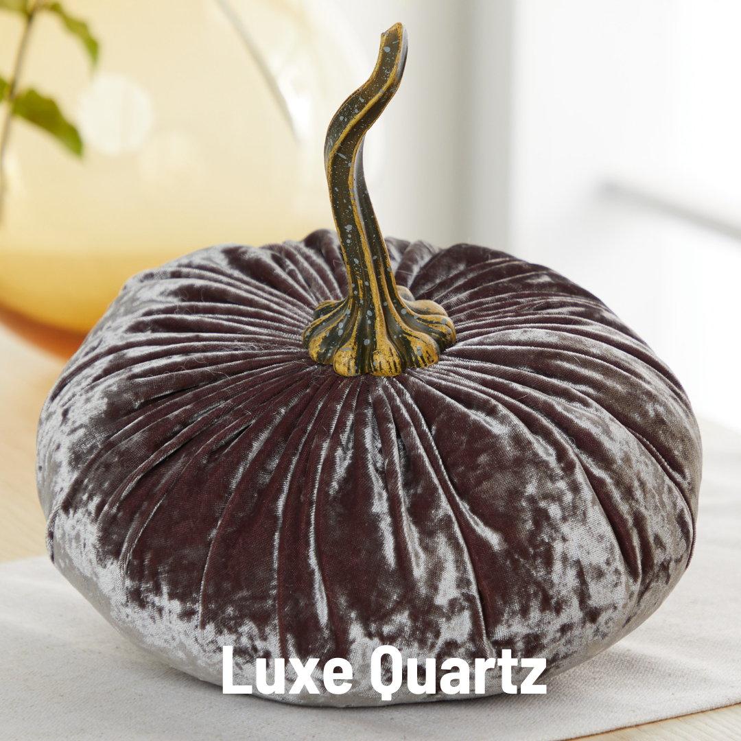 Your Heart's Content - Pumpkin Extra Large Velvet,  Fall Accent Decor, Centerpiece: Luxe Burnt Orange