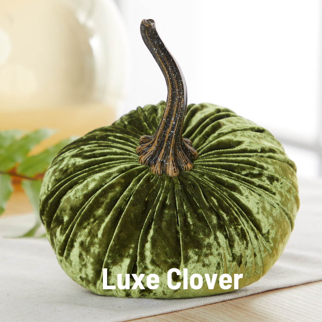 Your Heart's Content - Pumpkin Large Velvet, Fall Decor, Shelf Sitter, Tablescape: Luxe Medallion