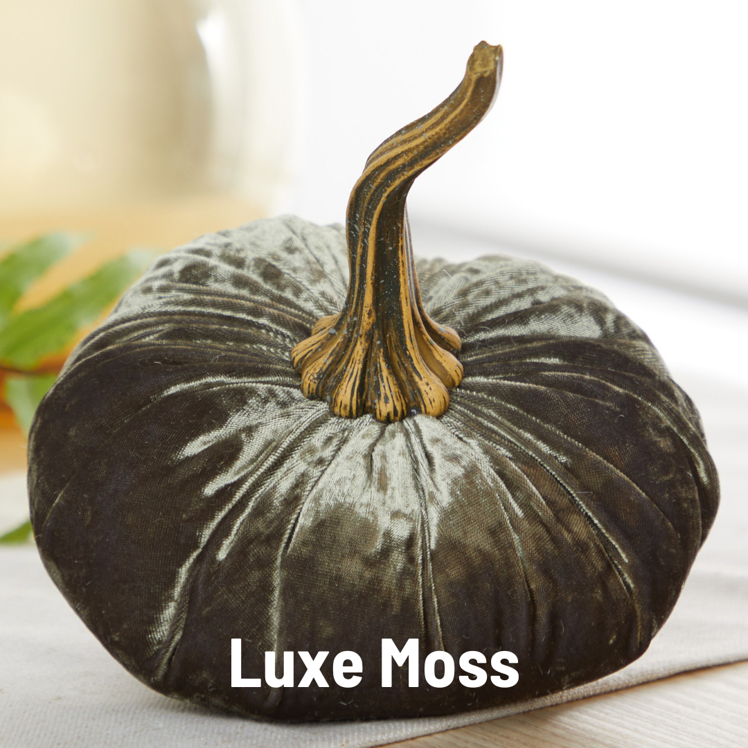 Your Heart's Content - Pumpkin Large Velvet, Fall Decor, Shelf Sitter, Tablescape: Luxe Medallion