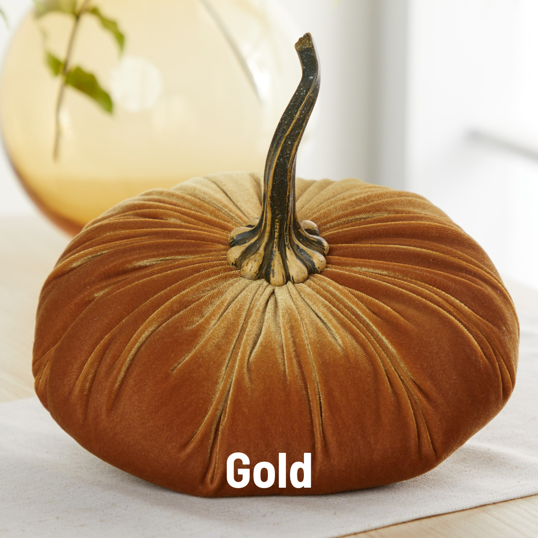 Your Heart's Content - Pumpkin Extra Large Velvet,  Fall Accent Decor, Centerpiece: Luxe Clover