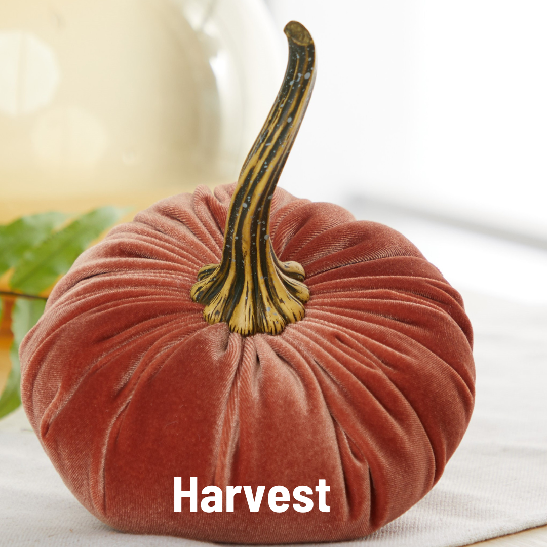 Your Heart's Content - Pumpkin Large Velvet, Fall Decor, Shelf Sitter, Tablescape: Luxe Medallion