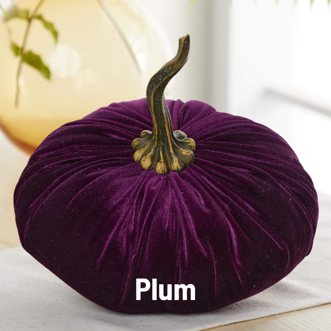 Your Heart's Content - Pumpkin Extra Large Velvet,  Fall Accent Decor, Centerpiece: Luxe Burnt Orange