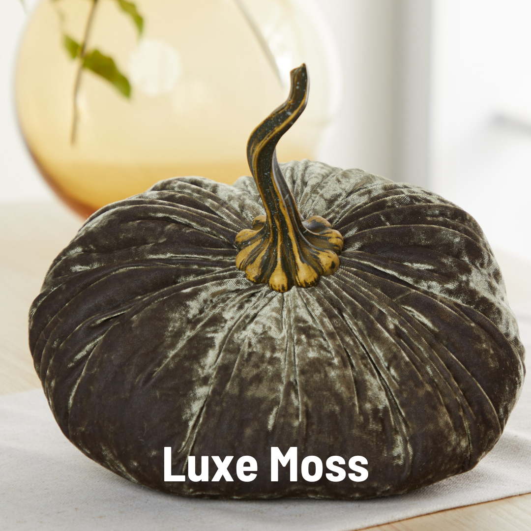 Your Heart's Content - Pumpkin Extra Large Velvet,  Fall Accent Decor, Centerpiece: Luxe Burnt Orange