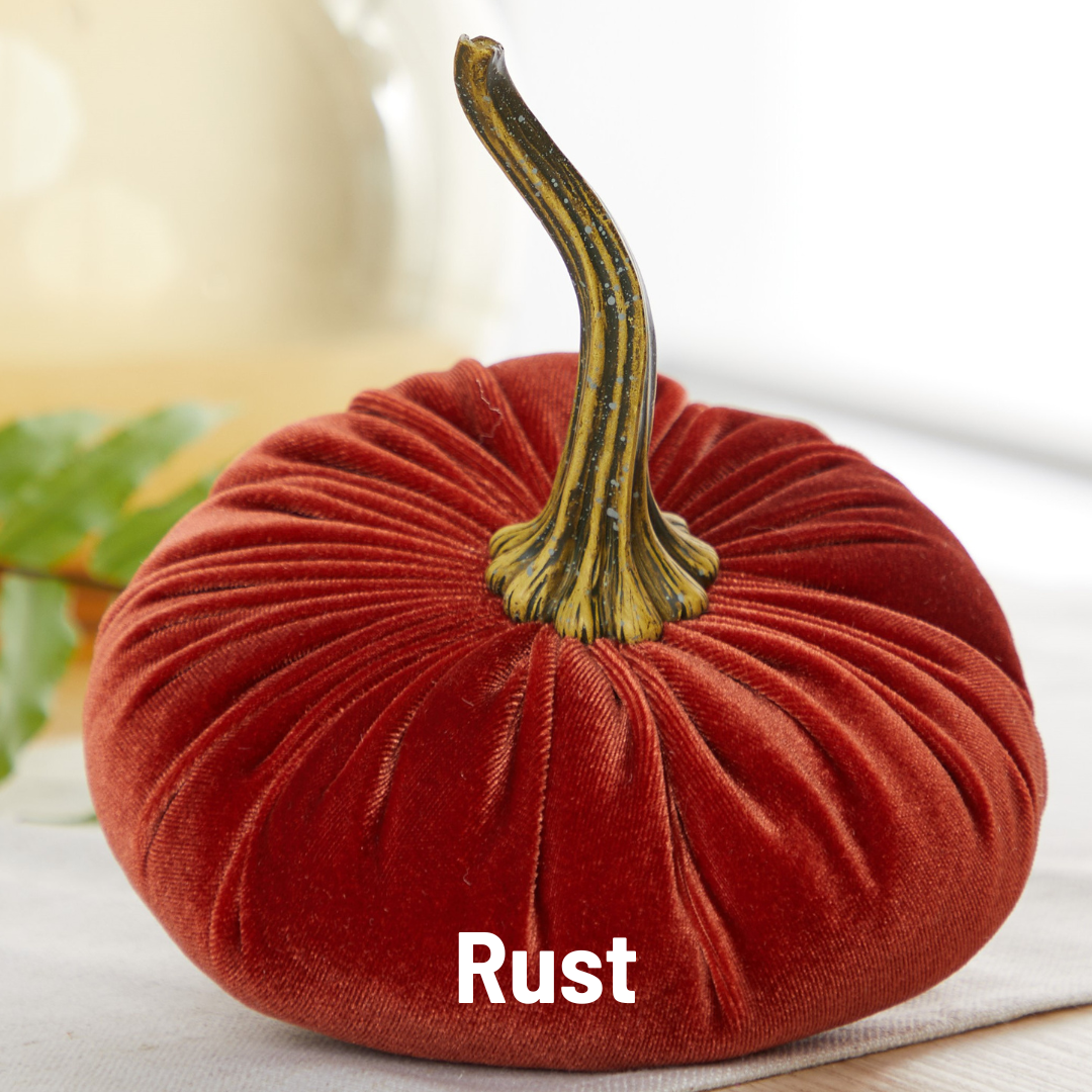 Your Heart's Content - Pumpkin Large Velvet, Fall Decor, Shelf Sitter, Tablescape: Luxe Medallion
