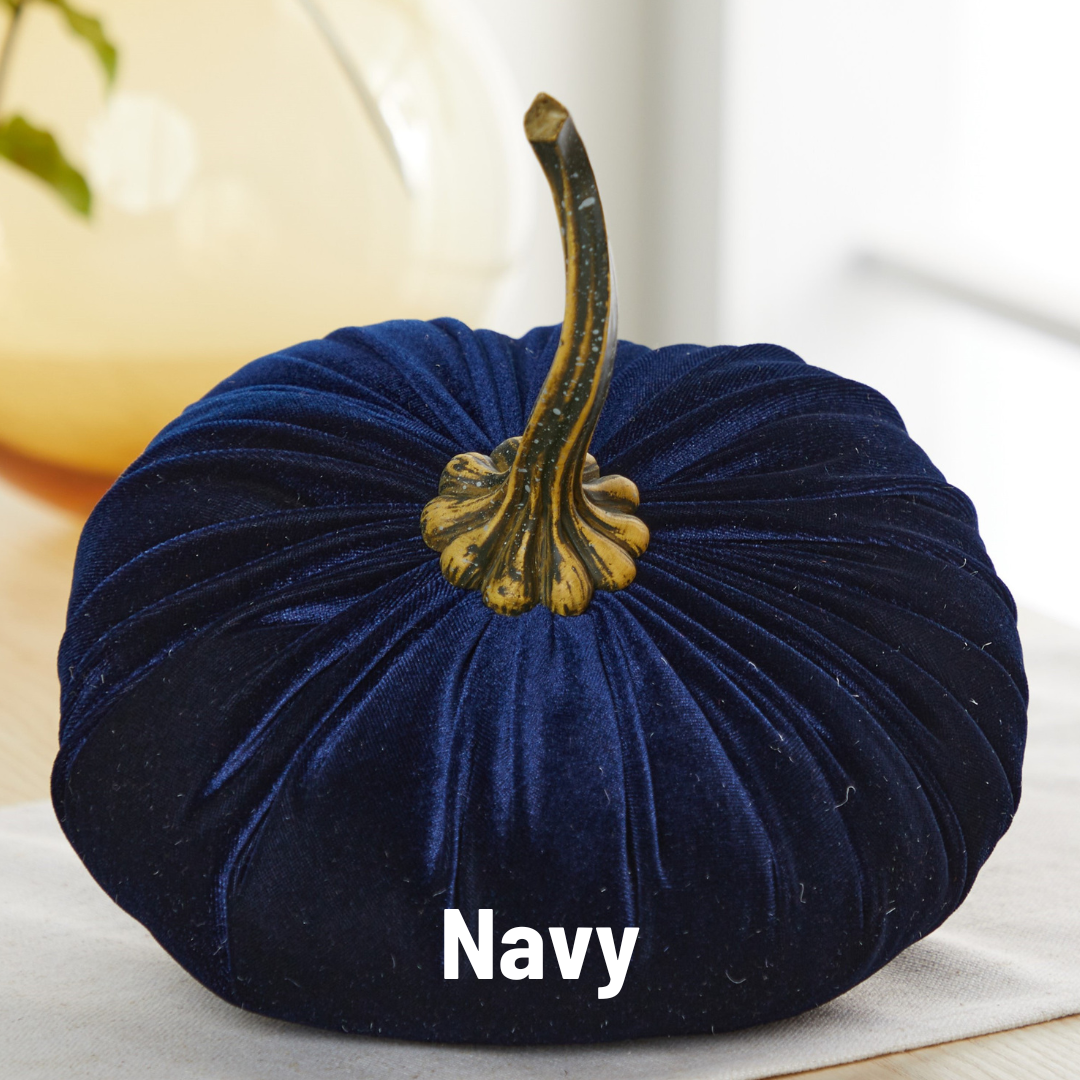 Your Heart's Content - Pumpkin Extra Large Velvet,  Fall Accent Decor, Centerpiece: Luxe Clover