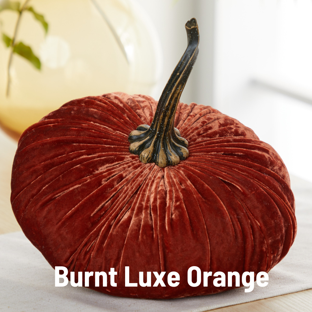 Your Heart's Content - Pumpkin Extra Large Velvet,  Fall Accent Decor, Centerpiece: Luxe Burnt Orange