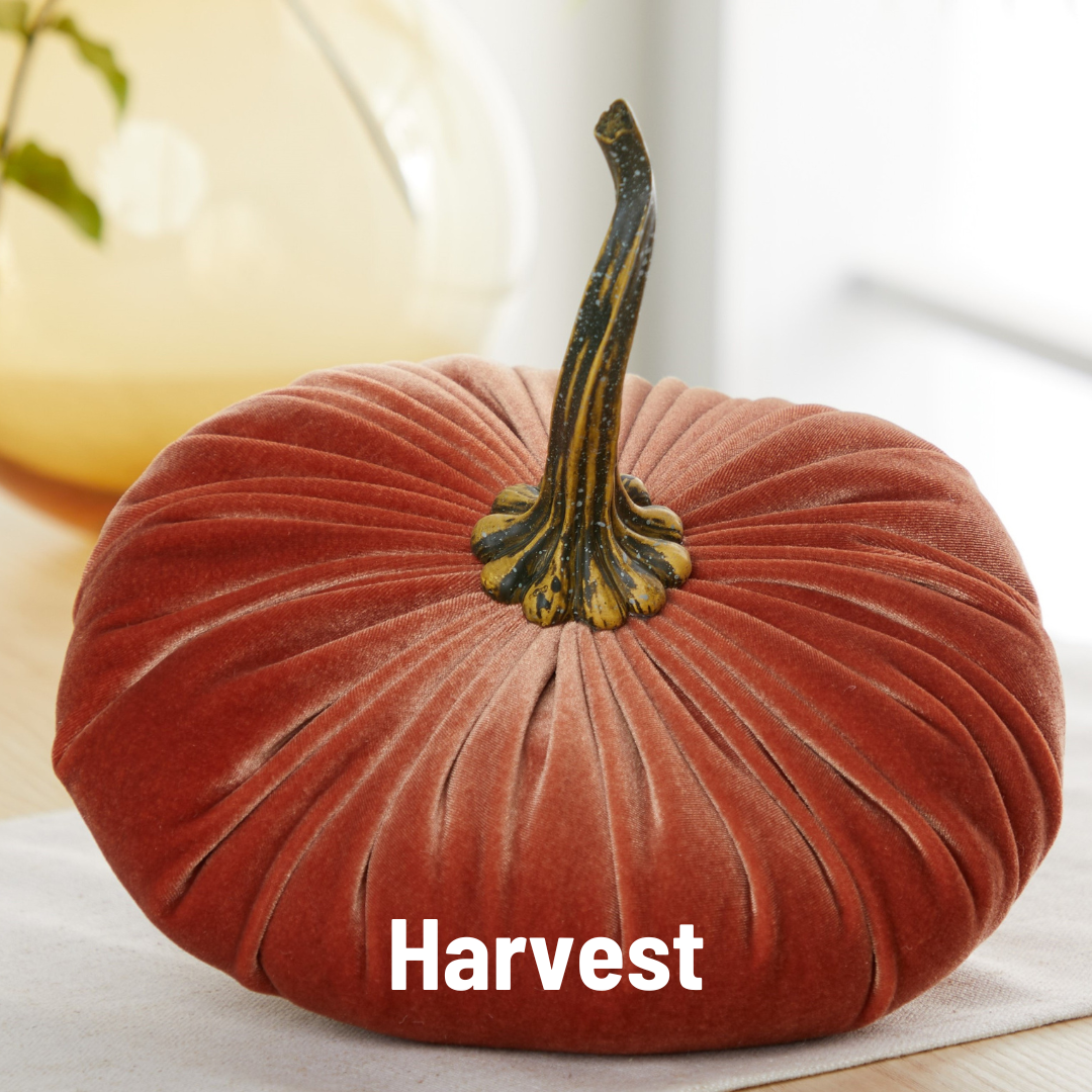 Your Heart's Content - Pumpkin Extra Large Velvet,  Fall Accent Decor, Centerpiece: Luxe Burnt Orange